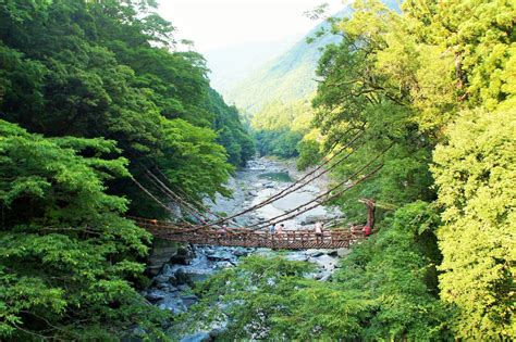 祖屋|祖谷のかずら橋 